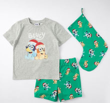 Bluey Green Christmas Pjs